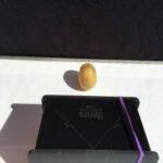 Analog Photography Pinhole